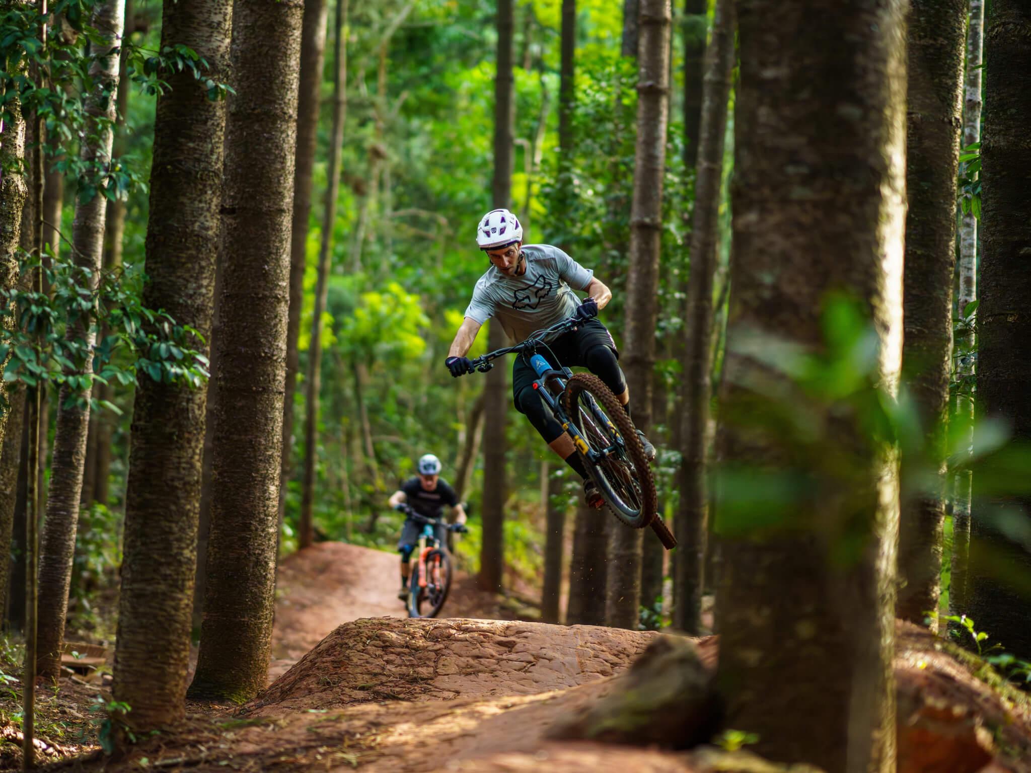 Mountain biker mid-air on a forest trail.